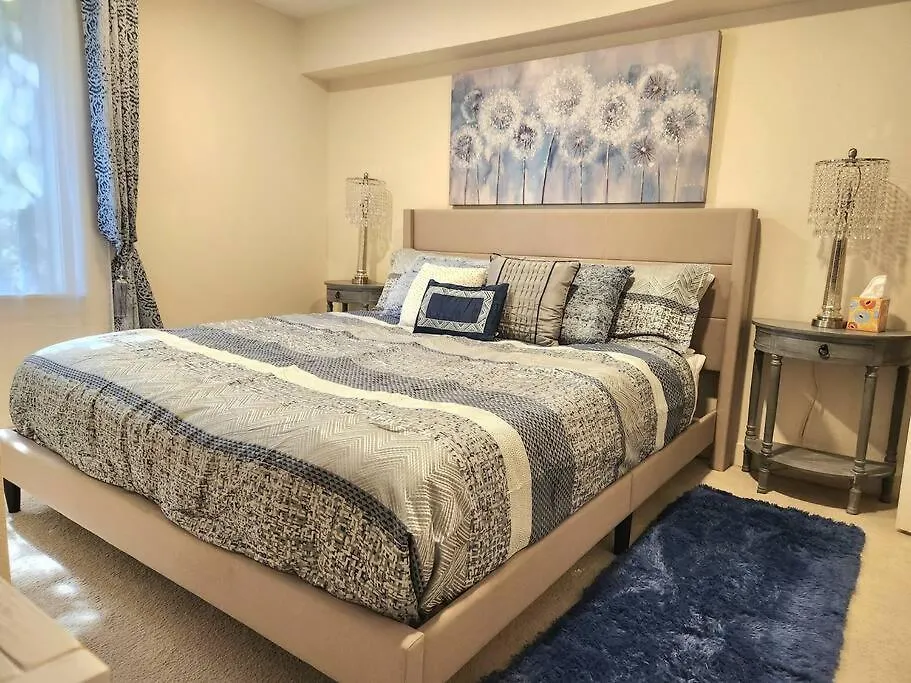 Cozy Contemporary 2Br With Sofa Bed In The Office Apartment Seattle 0*,